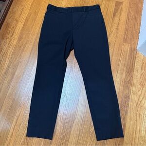 Banana Republic Sloan Pants